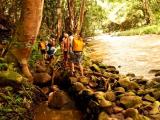 Waterfall Adventure